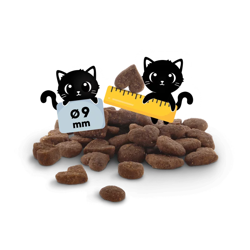 Lucky Lou Code Poultry & Chicken Grain Free Kitten храна за подрастващи котенца с Птиче и Пилешко месо 340г