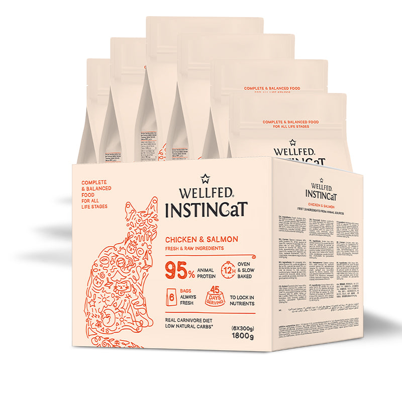 Wellfed InstinCaT Chicken & Salmon бавно изпечена на фурна суха храна за котки с Пилешко и Сьомга 6х300г
