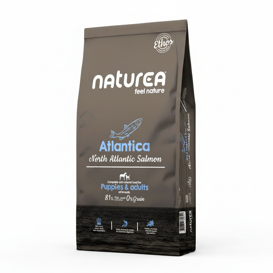 Naturea Atlantica North Atlantic Salmon Puppies & Adults