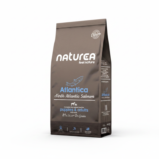 Naturea Atlantica North Atlantic Salmon
